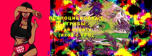 спайс Белокуриха