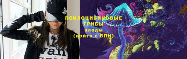 спайс Белокуриха