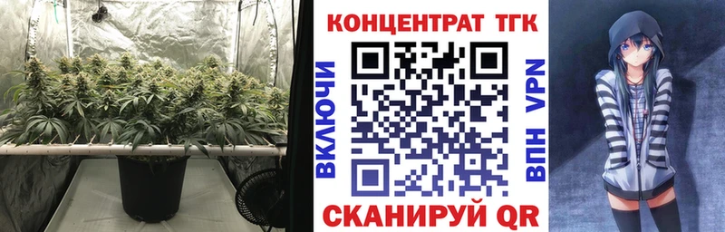 ТГК концентрат  Буинск 